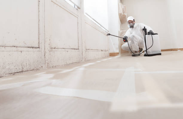 24/7 Emergency Crawl Space Mold Removal experts in Kensington, MD